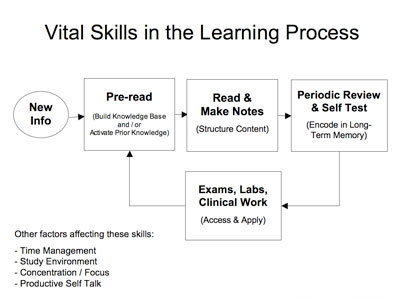 vitalskills_chart
